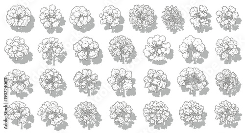 Collection of detailed top-down illustrations of various deciduous trees with distinct foliage and shadow patterns.