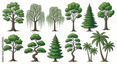 A collection of diverse trees, including deciduous, coniferous, and palm varieties, presented in a clear, illustrative style.