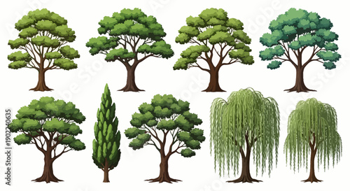 A collection of diverse tree illustrations, showcasing various species and forms, including deciduous, coniferous, and weeping varieties.