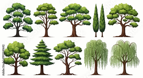 A collection of diverse tree illustrations, showcasing various species with lush green foliage and detailed bark textures.