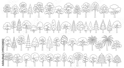 A comprehensive collection of diverse tree illustrations, showcasing various species and styles in a detailed line art format.