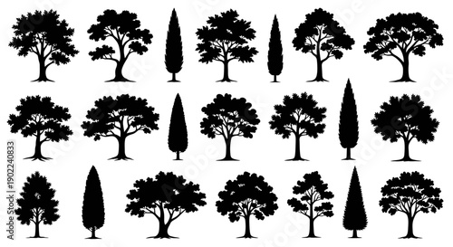 Collection of Silhouetted Trees, Including Deciduous and Evergreen Varieties, Arranged in Rows.