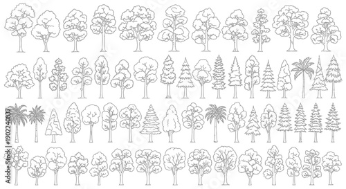 A comprehensive collection of diverse tree illustrations, showcasing a variety of deciduous and coniferous species in a detailed line art style.