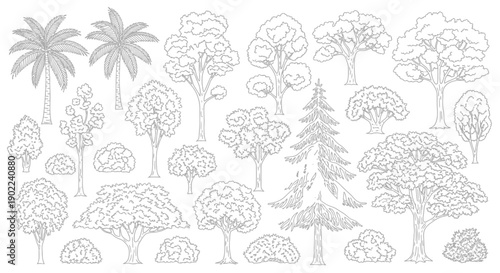 A detailed black and white line drawing collection of various types of trees and bushes, showcasing different shapes and foliage.