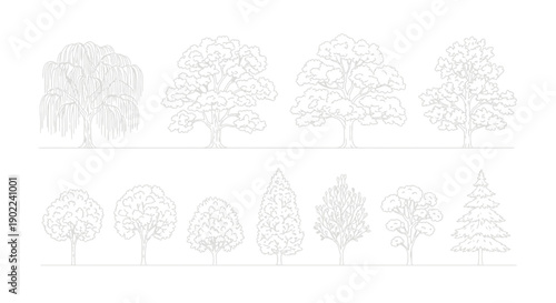 A collection of detailed line drawings of various deciduous and coniferous trees, presented in two rows against a white background.