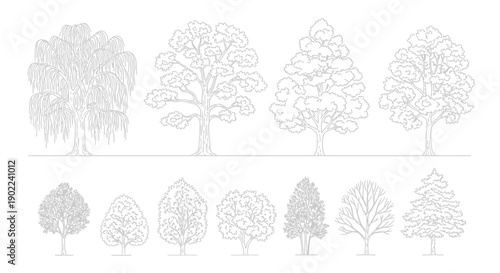 Collection of detailed line drawings of various deciduous and coniferous trees, presented in two rows against a white background.