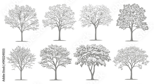 Collection of eight detailed black and white illustrations of various deciduous trees in full leaf, presented in two rows against a white background.