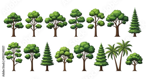 A collection of various types of trees, including deciduous and coniferous species, illustrated in a detailed, realistic style.