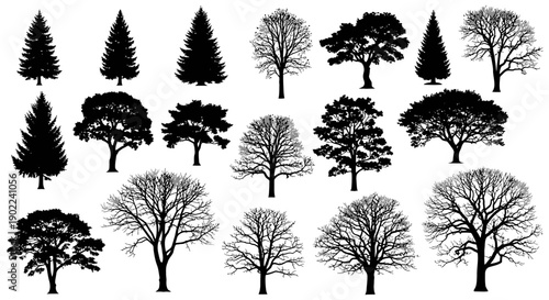 A collection of diverse tree silhouettes, showcasing various species and seasonal appearances.