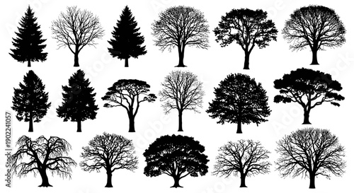 A collection of diverse tree silhouettes, showcasing various species and their unique branching structures.