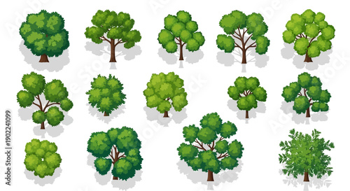 A collection of various green trees viewed from a top-down perspective, showcasing different shapes and sizes of foliage and trunks.