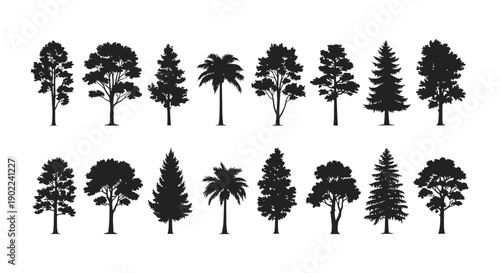 A collection of diverse tree silhouettes, showcasing various species and shapes for graphic design purposes.