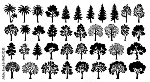 A diverse collection of black and white silhouette illustrations of various tree species, showcasing different shapes and foliage types.