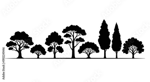 A silhouette of various deciduous and coniferous trees standing in a line against a white background.