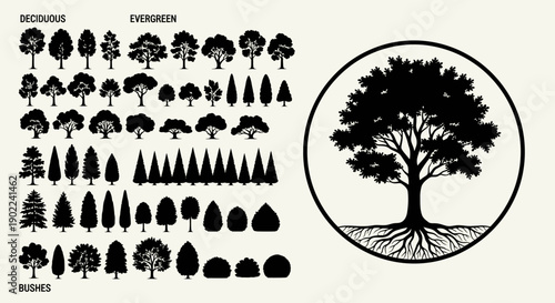 Collection of Silhouettes of Deciduous and Evergreen Trees and Bushes, with a Detailed Illustration of a Large Tree with Exposed Roots.