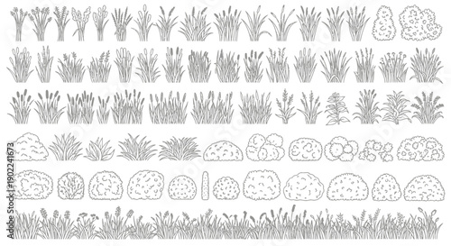 Collection of various hand-drawn botanical elements including grasses, reeds, and shrubs, presented in a clean line art style.