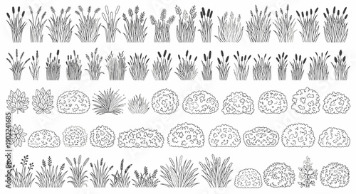 Collection of detailed black and white line drawings of various plants, including grasses, reeds, bushes, and shrubs, suitable for architectural or landscape design.