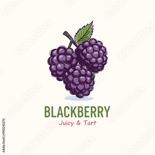 Summer fruits vector print designs. Organic food artwork for for t-shirt. Nature fruit print design. Fruit vintage t-shirt design. Retro fruit tropics. Local farmer markets.