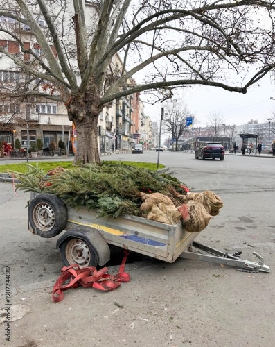 Foto Urban trailer laden with evergreen firs, forlorn holiday remnants evoke post-Yul