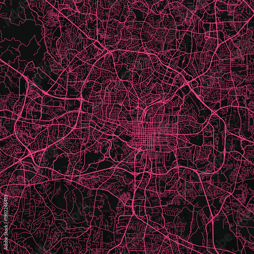 Raleigh City Map discover a refined urban tapestry where sharp linework and intricate grid patterns create a nostalgic monochrome blueprint of downtown evoking a neon pink hue under the structured.