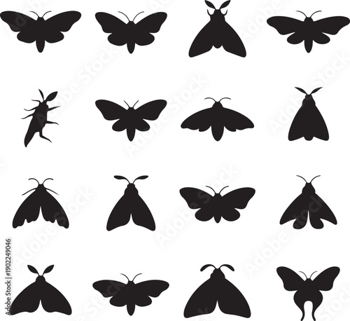 black silhouettes of various butterflies and moths on white background