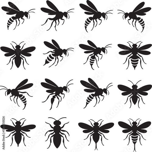 black silhouettes of various flying insects