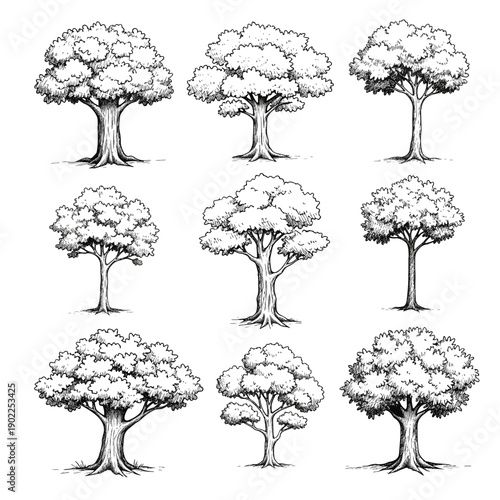 cartoon vector set of various trees with leaves branches and nature landscape elements
