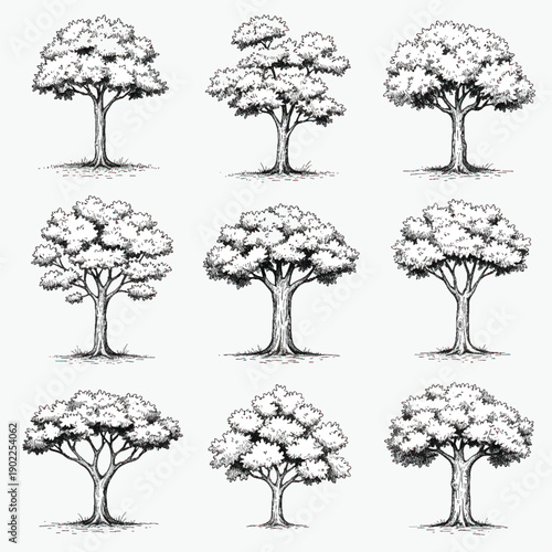 set of cartoon green trees vector illustration with leaves branches and nature elements
