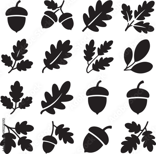 collection of black oak leaves and acorns on white background