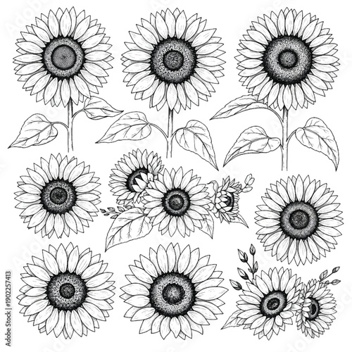 Seamless vintage pink floral pattern with decorative flowers and leaves vector illustration