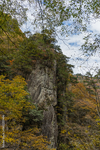 Obraz na płótnie 日本　広島県山県郡安芸太田町にある峡谷、三段峡の黒淵の絶壁と紅葉した木々