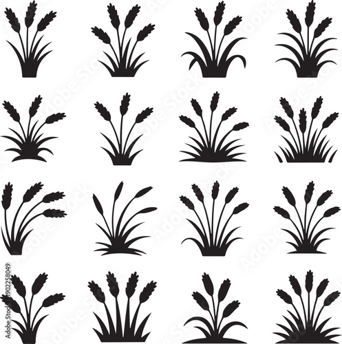 set of black silhouettes of various cattail plants on white background