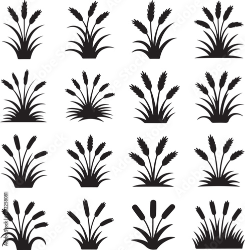 set of black silhouettes of various cattail plants on white background