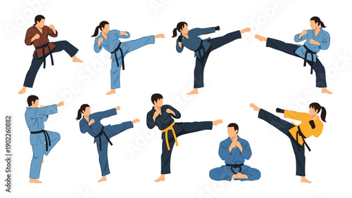 Martial artists in different colored uniforms practicing karate and judo moves including high kicks, punches, and meditative poses.