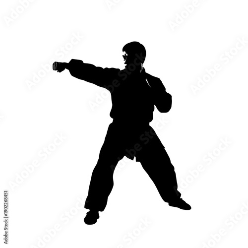 Silhouette of a martial artist in fighting stance.