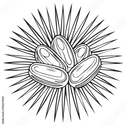 Clusters of Oval Dried Fruit with Starburst Silhouette