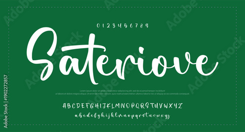 Script Brush Font Type Font lettering handwritten. vector illustration