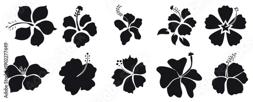 Set of black silhouettes of tropical hibiscus flowers isolated on a white background. Flower black color vector illustration.
