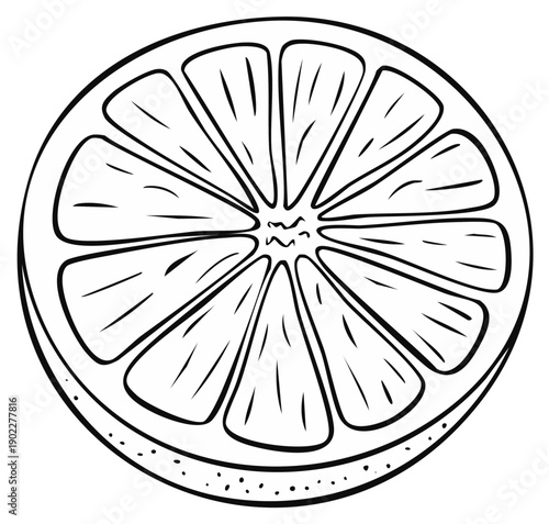 Black and white illustration of a sliced orange with segments, circle shape