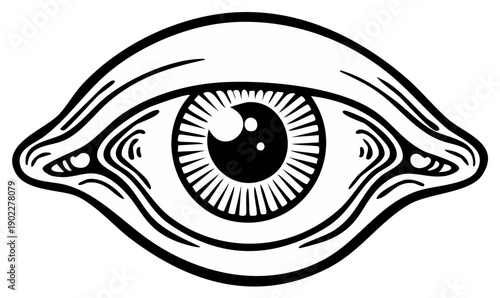 Graphic illustration of an eye with iris and detailed lashes, black and white