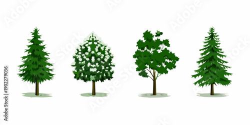 Four distinct evergreen and deciduous trees arranged in a row