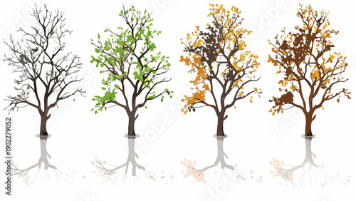 Four trees illustrating the changing seasons with vibrant foliage colors