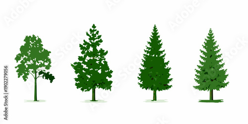 Four green coniferous and deciduous trees depicted in a vector illustration