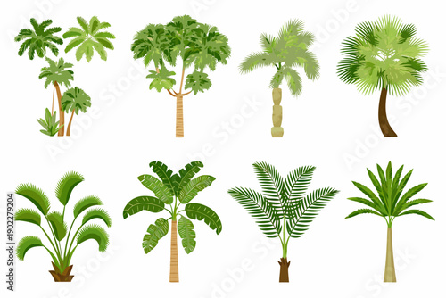 Collection of various tropical palm trees and lush green foliage