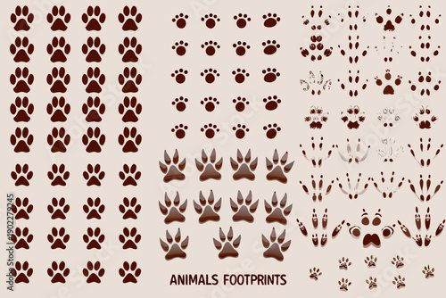 Collection of various animal footprints and paw prints on a beige background