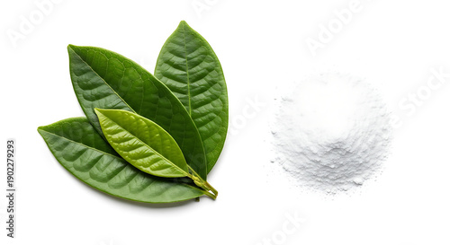 Drugs and Substances Isolated on White Background – Editorial Cutout Collection