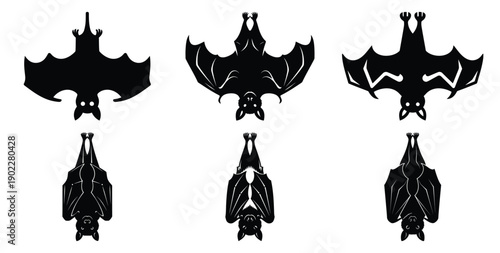 Set of halloween bat hanging upside down silhouettes black icon Vector illustration and isolated on white background.