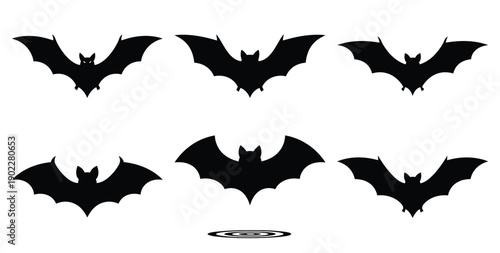 Set of halloween bat shadow silhouettes black icon Vector illustration and isolated on white background.