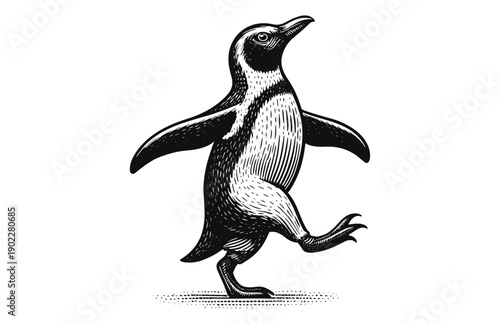 Vintage Engraving Woodcut Illustration of Penguin Walking Cheerfully in Profile