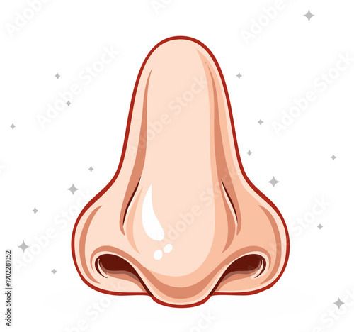Cartoon Human Nose Vector Illustration Isolated Anatomy Organ Detail